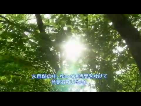 CJWバナH  VanaH CM3