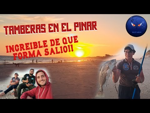 TAMBERAS EN EL PINAR! CON UNA TECNICA SECRETA!! // CANELONES URUGUAY// @bajoagua3895