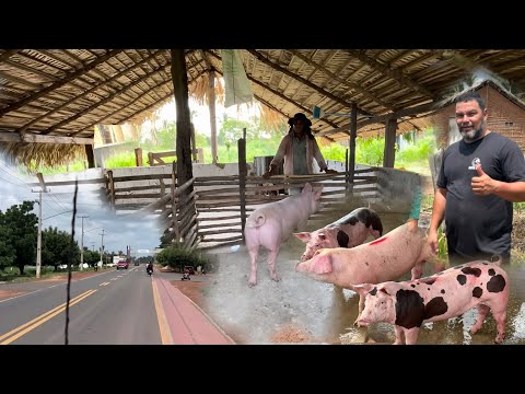 NOSSOS PRIMEIROS 3 DIAS DE ENTREGAS NO PIAUÍ E MARANHÃO 