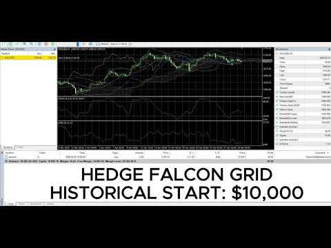 Video Hedge Falcon Grid