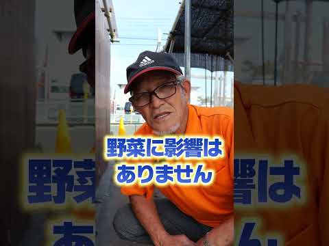 堆肥に含まれる有益な昆虫と非有益な昆虫は何ですか?  庭園