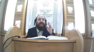 זרע שמשון חג הסוכות תשפה הרב יצחק ליכטנשטיין ביהכנס גאולת ישראל נס ציונה