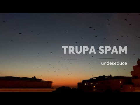 SPAM - undeseduce (Lyric video)