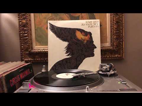 Rare Bird - I’m Thinking