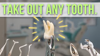 How to Extract Teeth in Dentistry | Power Dental Instruments