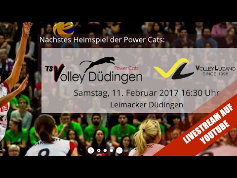 NLA Volleyball: TS Volley Düdingen - Volley Lugano