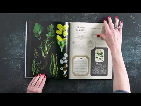100 Plants that Heal | Book Preview