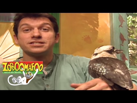 🐒Zoboomafoo 125 - Great Singers | HD | Full Episode 🐒🐦