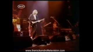 STEVE HUNTER - Black Cat