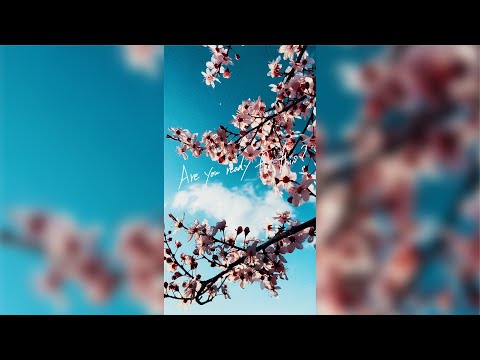 DEAN FUJIOKA - “Sakura” Lyric Video