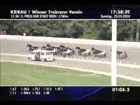 Preis der Stadt Wien 2008 - 2. Heat Oak General