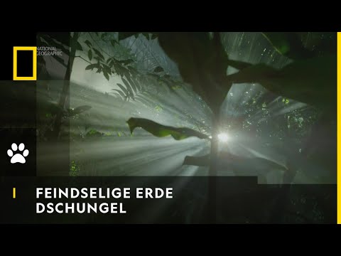 FEINDSELIGE ERDE - Dschungel | National Geographic