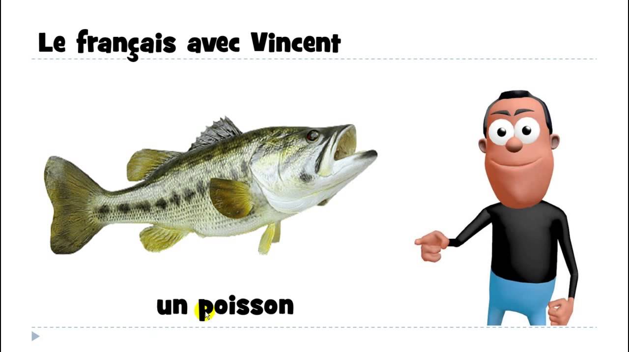 1 mot par jour # un poisson