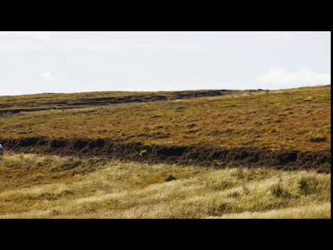 It's a drive like no other