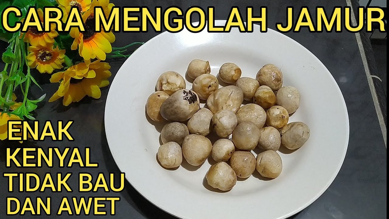 Cara Memasak Jamur Kancing Agar Tidak Bau