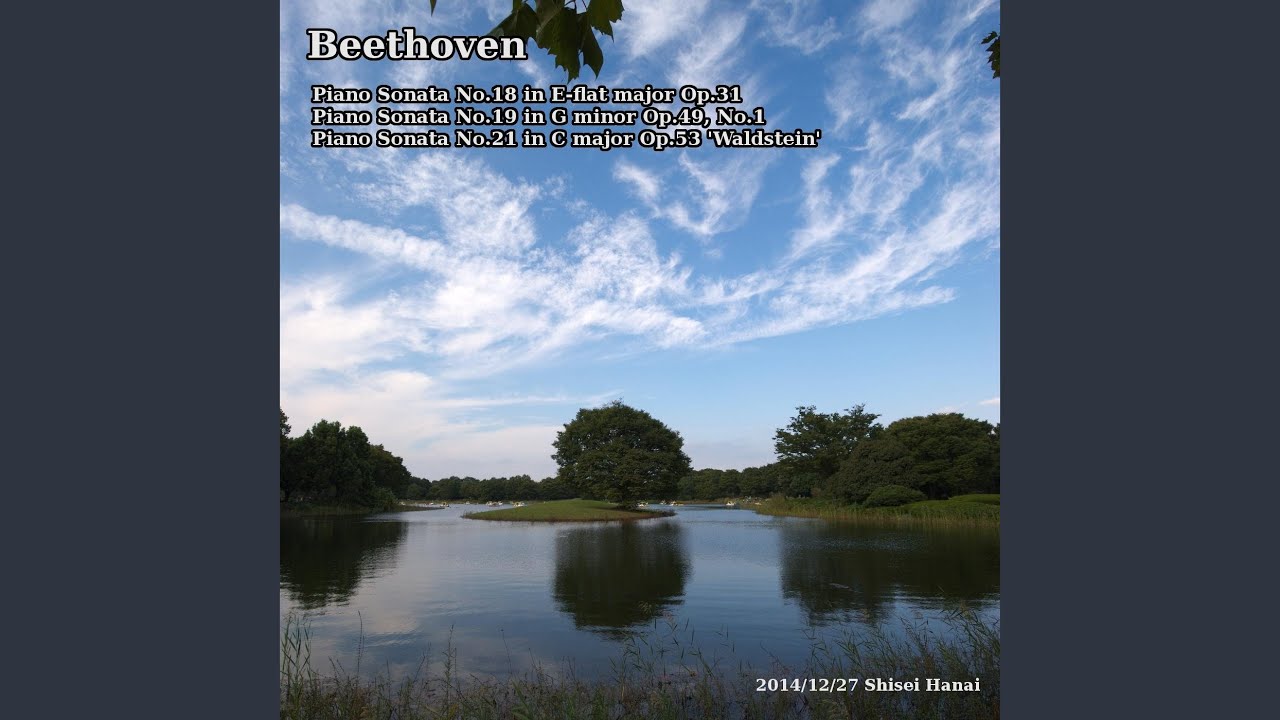 Beethoven Piano Sonata No. 18 in E-Flat Major, Op. 31: III. Menuetto. Moderato e grazioso