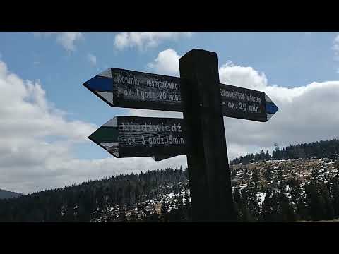 Turbacz 1310 m n.p.m. - wejście na szczyt z miejscowości Koninki, szczyt i hala z krokusami