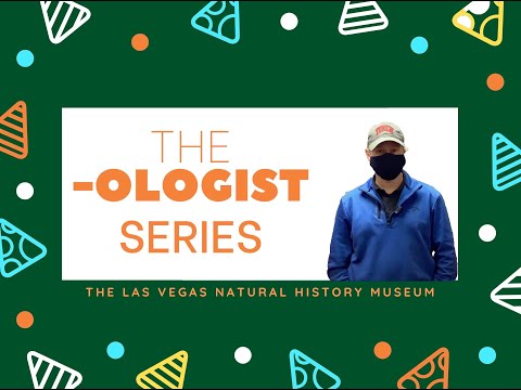 The -Ologist Series: Paleontology with Eric Chameroy