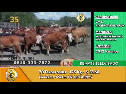04-04-17 - Ventas del Remate Televisado de UMC y Haciendas Villaguay - Corrientes