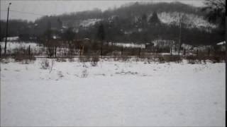 Christian vom Würfelhof 16 months old 3