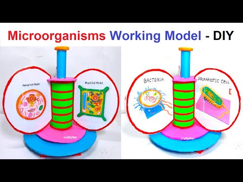 biogas plant working model 3d inspire science project howtofunda free electricity energy