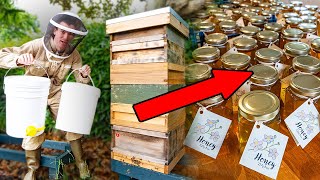 Harvesting 68kg of honey - full process from beehive to jars + candle making