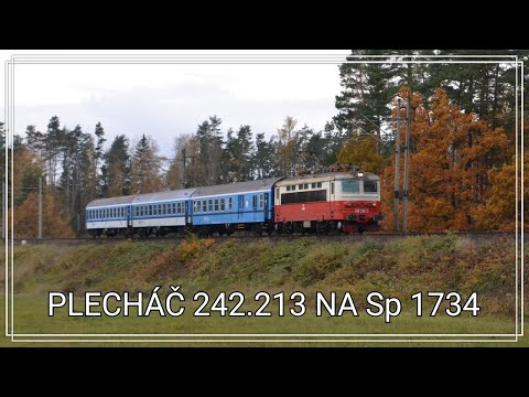 ČD 242.213 - Sp 1734 - Velký Ratmírov - 4.11.2020
