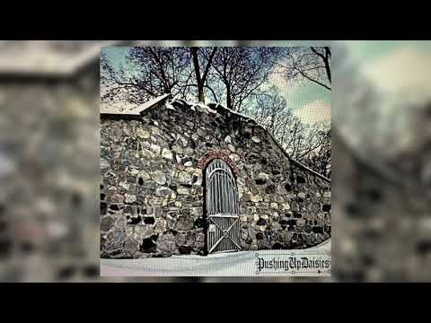 BONES & DEERGOD - COMINGTOTERMS