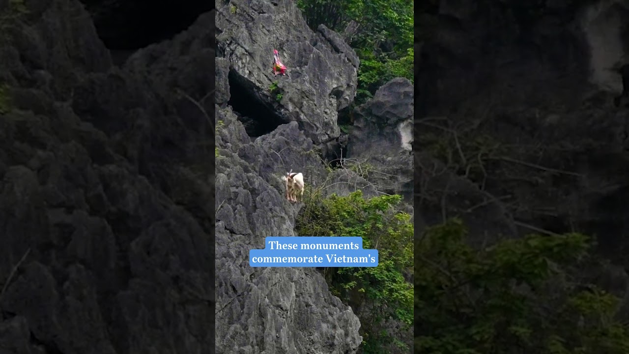 YouTube Short thumbnail