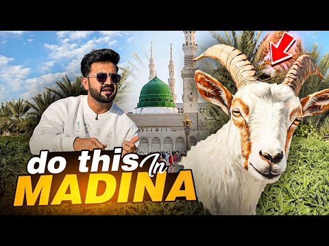 Must Do These 7 Things in Madina | Madinah Guide | What To do in Madina |