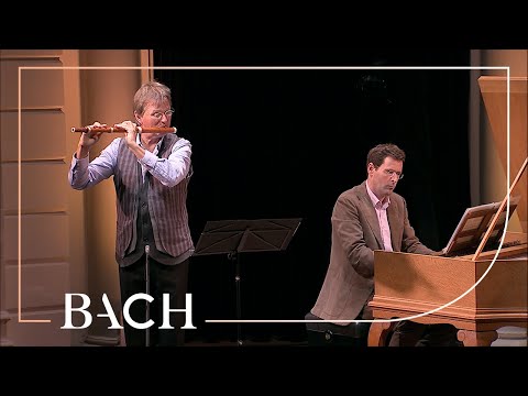 Sonata Ii In B Minor - Johann Sebastian Bach