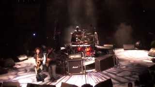 La Renga en el Teatro Caupolicán, Santiago 2013 - Psilocybe Mexicana