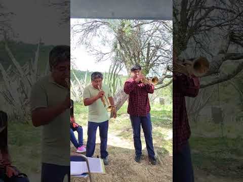 Banda Flor de Pitaya!!video cortesía : Sr Amigo González.