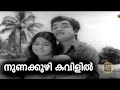 Nunakkuzhikkavilil Thaara 1970 Vayalar G Devarajan P Jayachandran Central Talkies