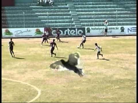 Adriano Fantini Meles 89