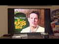 A Bug S Life Character Interview
