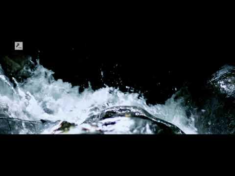 Dawor by #Dhritiman || Trailer || #Nayan_Kalita || #Backlight_Pictures