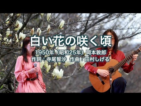 白い花の咲く頃