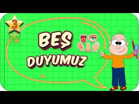 3. Sınıf Fen: Beş Duyumuz #2022