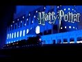 Best Of Harry Potter Christmas Light Show Watch Till End