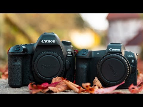 Canon EOS R vs. 5D Mark IV Vergleich - Bildqualität, Farben uvm. | Deutsch