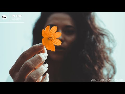 Shallou, ayokay - Us