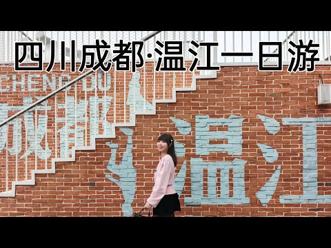 中国四川省成都市&ldquo;温江区一日游&rdquo;逛集市、老茶馆、绿道骑行、文庙博物馆、品当地美食（豆粉、牦牛肉、春卷、酥皮月饼、芝麻糕、军屯锅盔、金钩海味抄手、怪味抄手、炸米酒、笑口饺子）