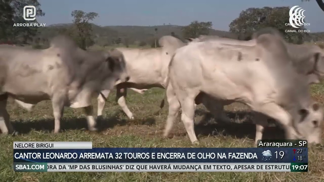 Sucesso nas vendas a preço fixo cancela leilão da Nelore Birigui