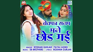 Bewafa Sanam Mane Chhod Gai song artwork