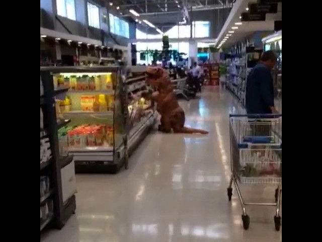 Vídeo relacionado con AOOWU Disfraz Dinosaurio Adulto Hinchable, Disfraz Hinchable Adulto con Sistema Inflable, Vestimenta Halloween Hombre y Mujer para Cosplay Cumpleaños Navidad Carnaval Fiesta, Rojo