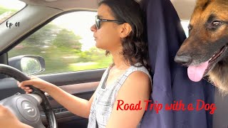 How to Go On Road Trip With Your Pet | How to Travel With Your Dog via Car | Hyderabad - Vijayawada