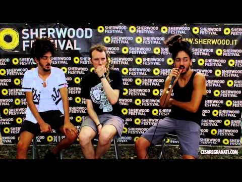 Mellow Mood - Sherwood 2015 (Intervista)