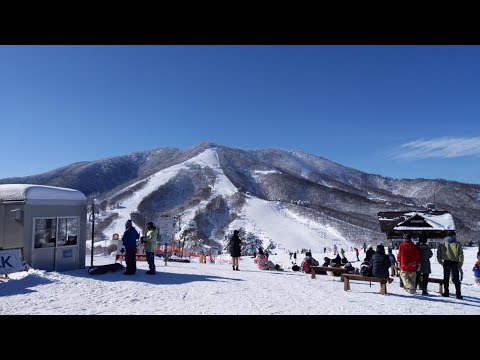 Japan Snowboarding in Madarao Kogen | It's HURT!