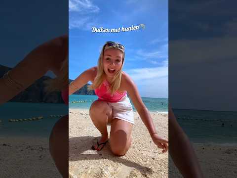 Omg zoooveel haaien🦈